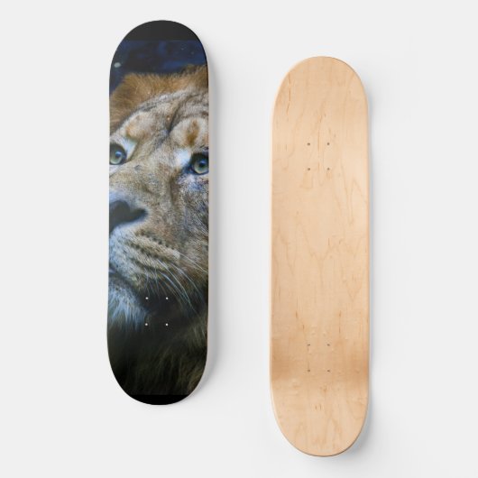 Lion Skateboard (Vorderseite)