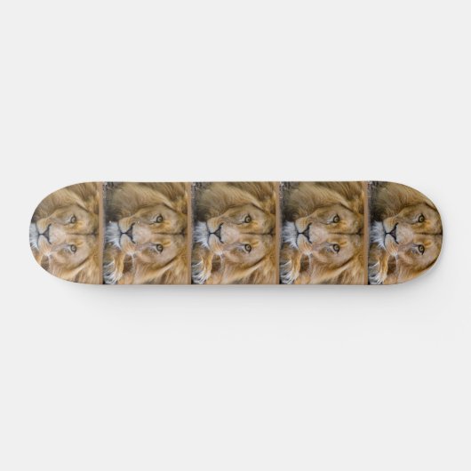 LION Skateboards (Horizontal)