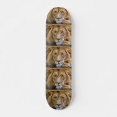 LION Skateboards (Vorne)