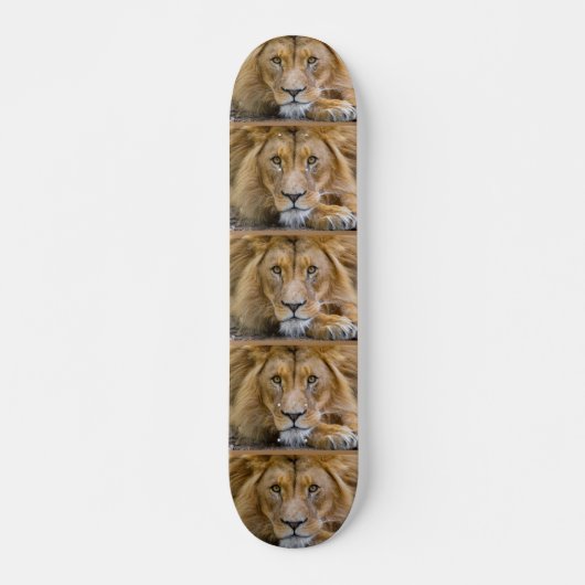 LION Skateboards (Vorne)