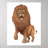 Lion Small Poster (Vorne)