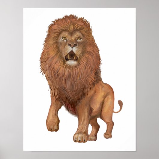 Lion Small Poster (Vorne)