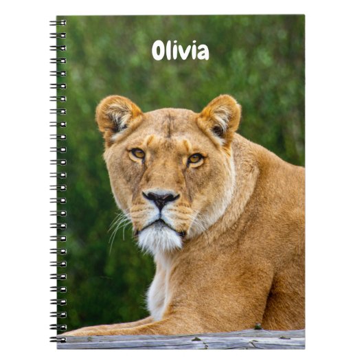 Lion Spiral Notebook Notizblock (Vorderseite)