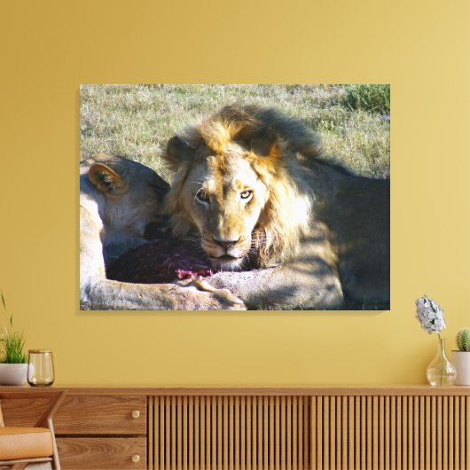 Lion Stare Stretched Leinwand (Insitu (Wohnzimmer))