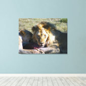 Lion Stare Stretched Leinwand (Insitu (Holzboden))