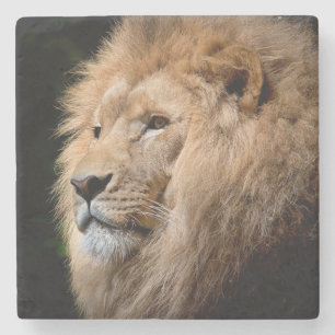 Lion Steinuntersetzer