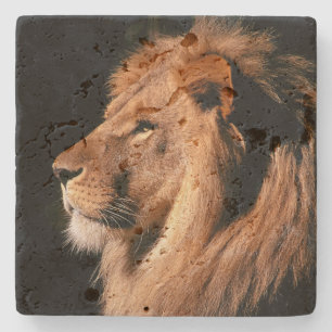 Lion Stone Untersetzer