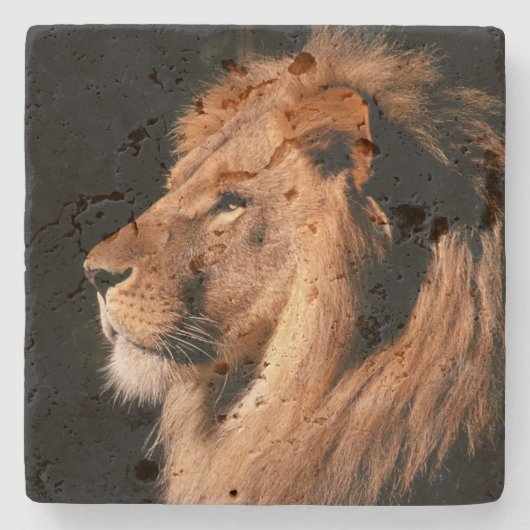 Lion Stone Untersetzer (Vorderseite)