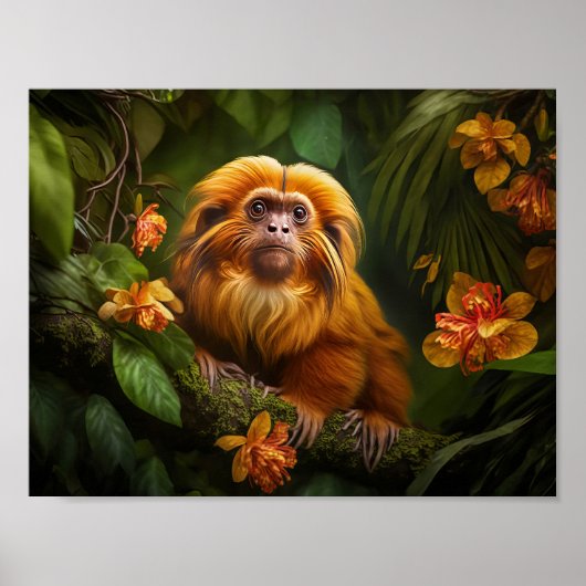 Lion Tamarin Poster (Vorne)