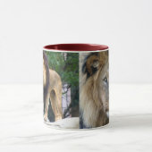 Lion Tasse (Zentrum)