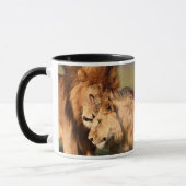 Lion Tasse (Links)