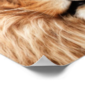 Lion The King Foto Malerei Poster (Ecke)
