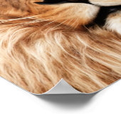 Lion The King Foto Malerei Poster (Ecke)