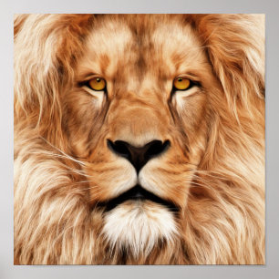 Lion The King Foto Malerei Poster