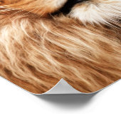 Lion The King Foto Malerei Poster (Ecke)