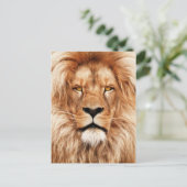 Lion The King Foto Malerei Postkarte (Stehend Vorderseite)