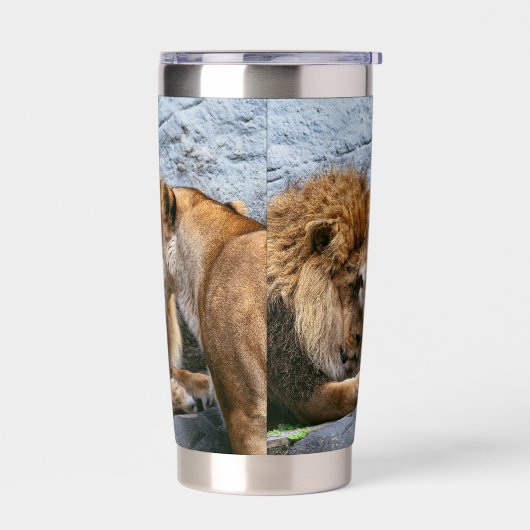 Lion Thermobecher (Links)
