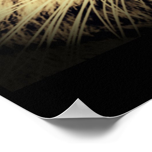 Lion Tiger 2in1 Poster (Ecke)