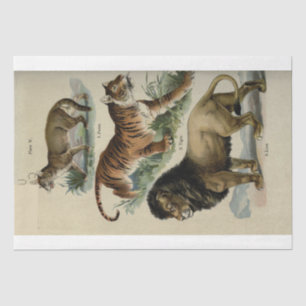 Lion Tiger Puma Ephemera Decoupage Seidenpapier