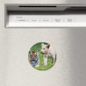 Lion & Tigerjungen spielen im Spiel Magnet (In Situ (Geschirrspüler))