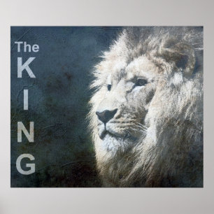 Lion Trendy Template Nature Animal Foto The King Poster