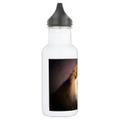 Lion Trinkflasche (Links)