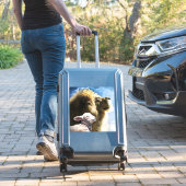 Lion und Lamb Vinyl Sticker (Koffer Insitu)