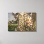 Lion und Leopard sind Freunde Canvas Print Leinwanddruck (Vorderseite)