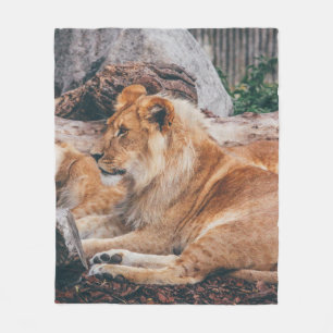 LION UND LIONESS AUF DER BROWNEN OBERFLÄCHE FLEECEDECKE