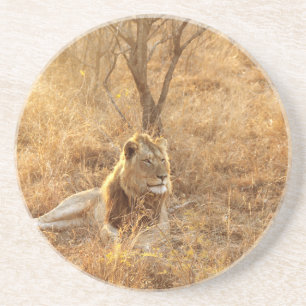 Lion Untersetzer