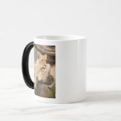 LION VERWANDLUNGSTASSE (Vorderseite Links)