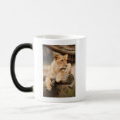 LION VERWANDLUNGSTASSE (Links)