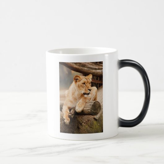 LION VERWANDLUNGSTASSE (Rechts)