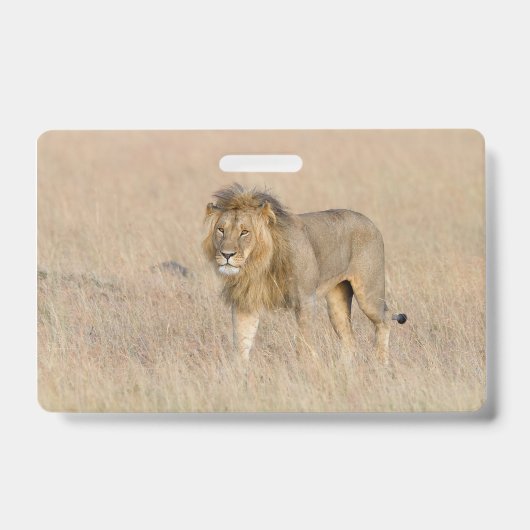 Lion Walking Ausweis (Vorderseite)