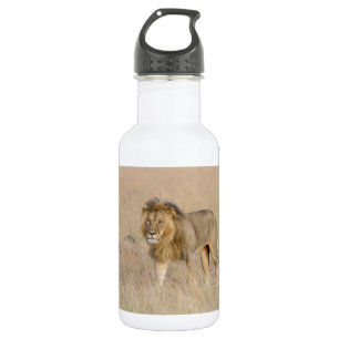 Lion Walking Edelstahlflasche
