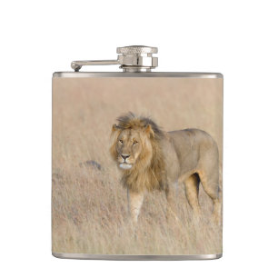 Lion Walking Flachmann