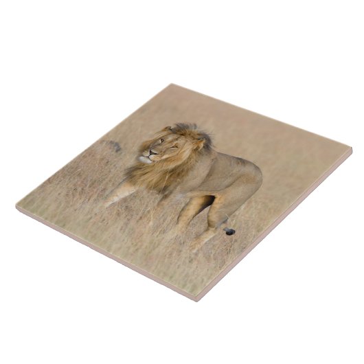 Lion Walking Fliese (Seite)