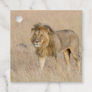Lion walking geschenkanhänger
