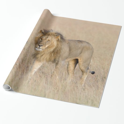 Lion Walking Geschenkpapier (Ungerollt)
