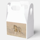 Lion Walking Geschenkschachtel (Geöffnet)
