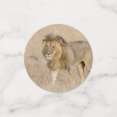 Lion Walking Konfetti (Klein Vorderseite)
