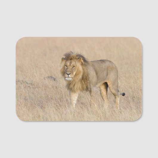 Lion Walking Namensschild (Vorderseite)