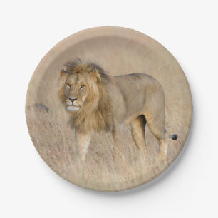 Lion Walking Pappteller