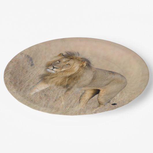 Lion Walking Pappteller (Schrägansicht)