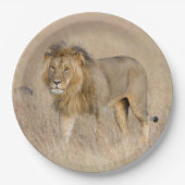 Lion Walking Pappteller (Vorderseite)