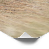 Lion Walking Poster (Ecke)