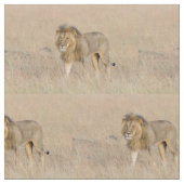 Lion Walking Stoff (Nahaufnahme)