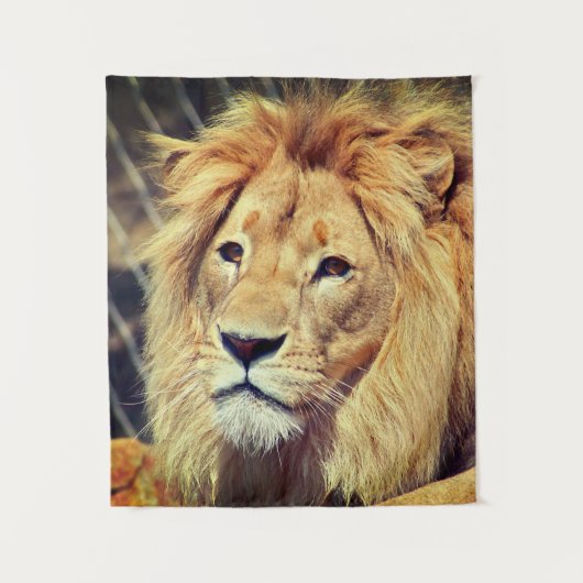 Lion Wandteppich (Vorderseite)