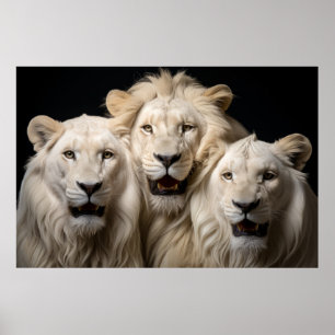 Lion Wild Animal Portrait Fierce Power Poster