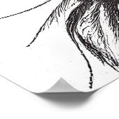 Lion Wild Nature Animal Illustration Zeichnend Kun Poster (Ecke)